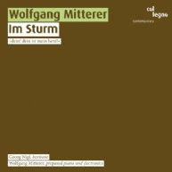 Wolfgang Mitterer - Im Sturm